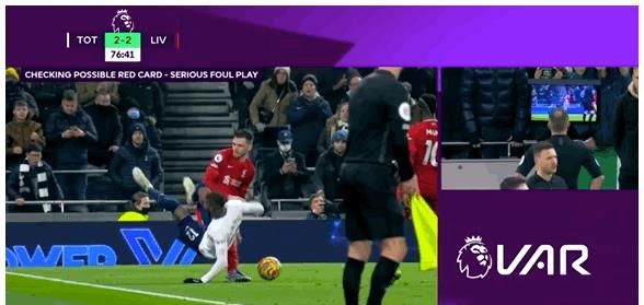 游泳比赛赛程与成绩汇总 重点项目表现突出