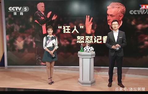 是摇撼球