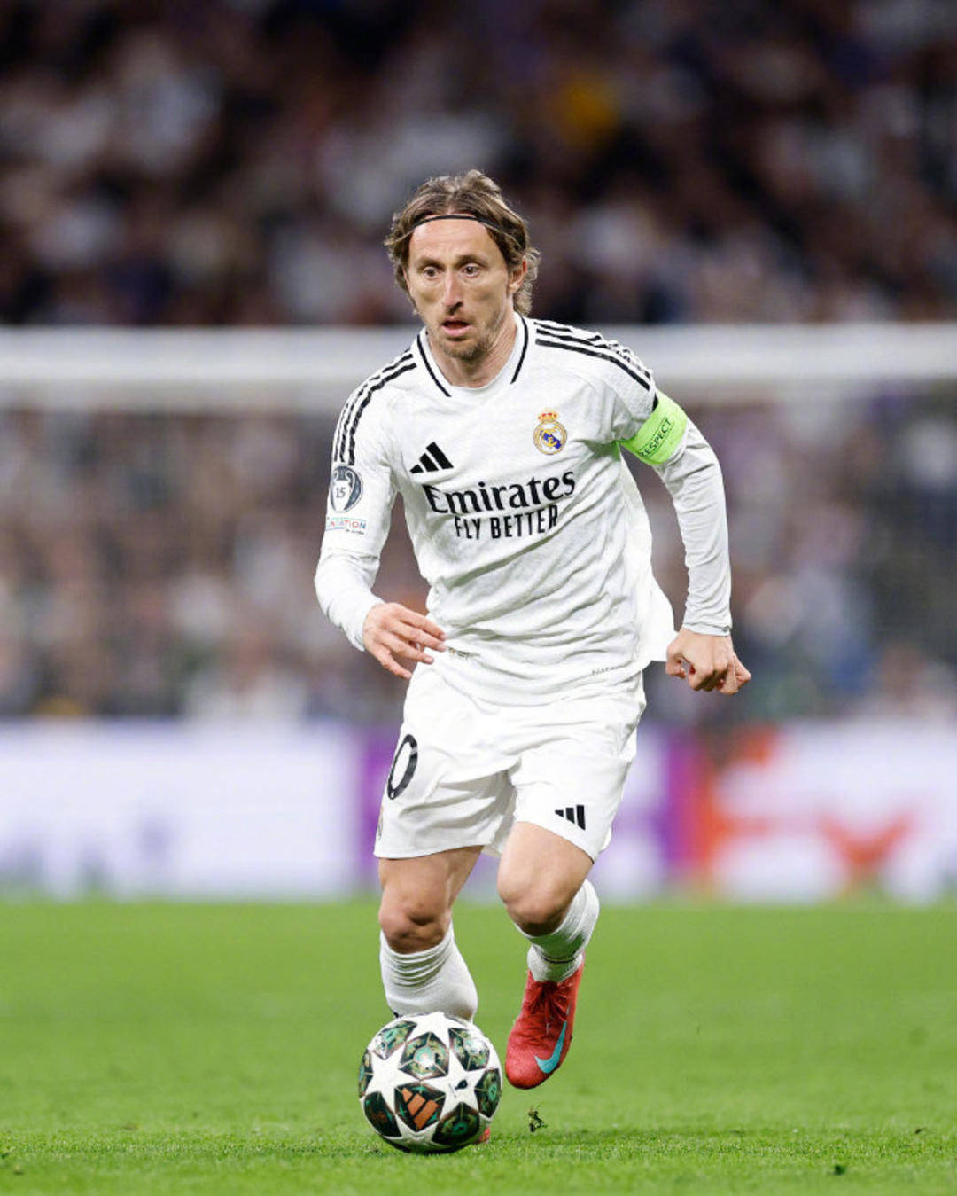 《神之天平》世界树之花怎么获得